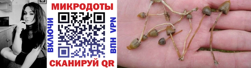 купить наркотики цена  Калач  нарко площадка как зайти  Галлюциногенные грибы мицелий 